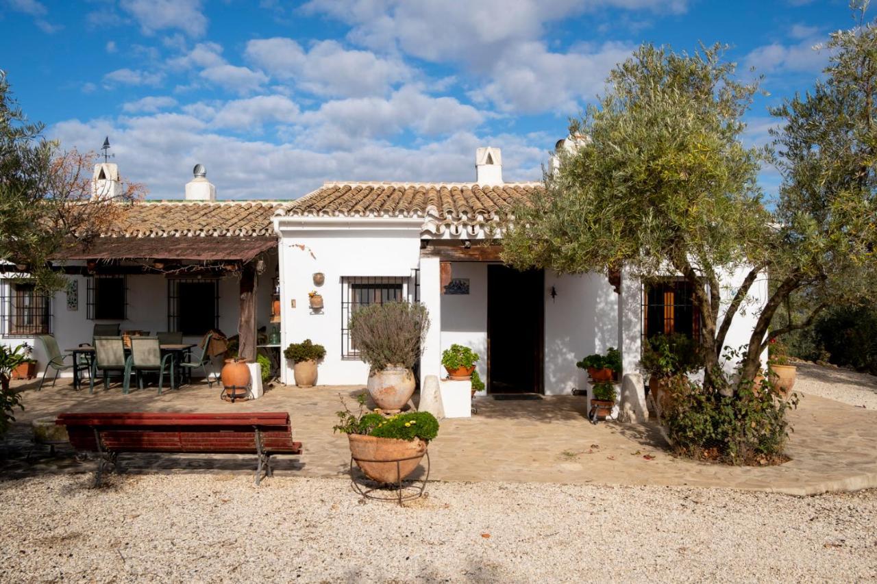 Refugio Andaluz Con Piscina Entre Olivos Villanueva de Tapia Exterior photo