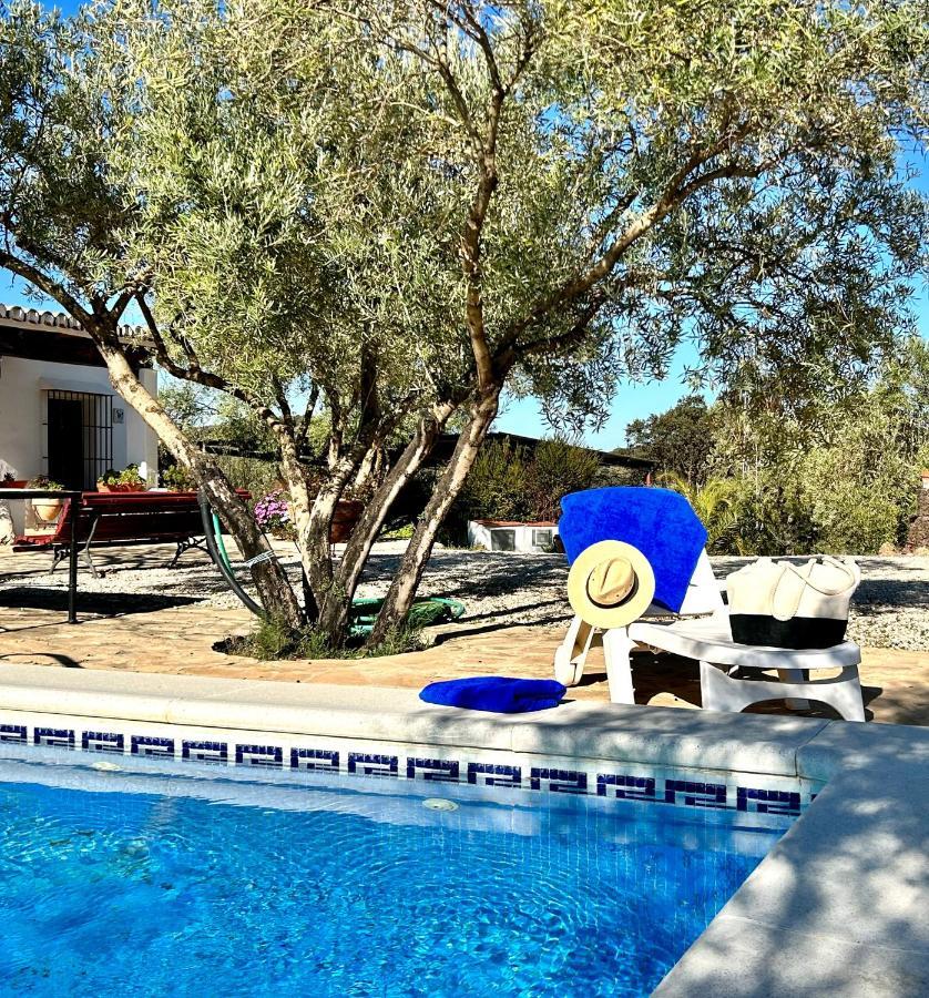 Refugio Andaluz Con Piscina Entre Olivos Villanueva de Tapia Exterior photo