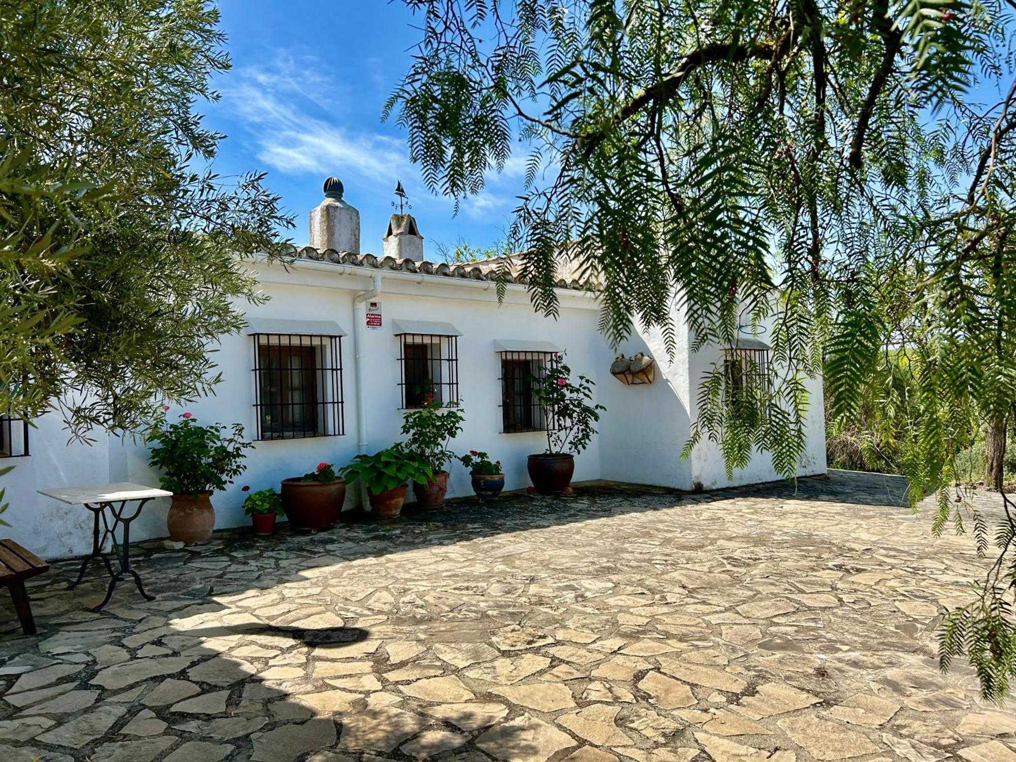 Refugio Andaluz Con Piscina Entre Olivos Villanueva de Tapia Exterior photo