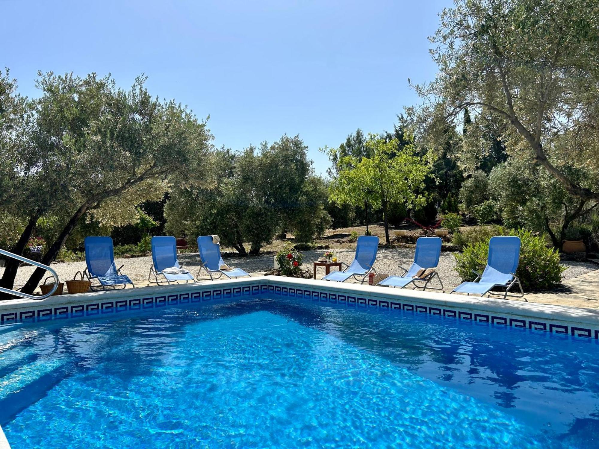 Refugio Andaluz Con Piscina Entre Olivos Villanueva de Tapia Exterior photo
